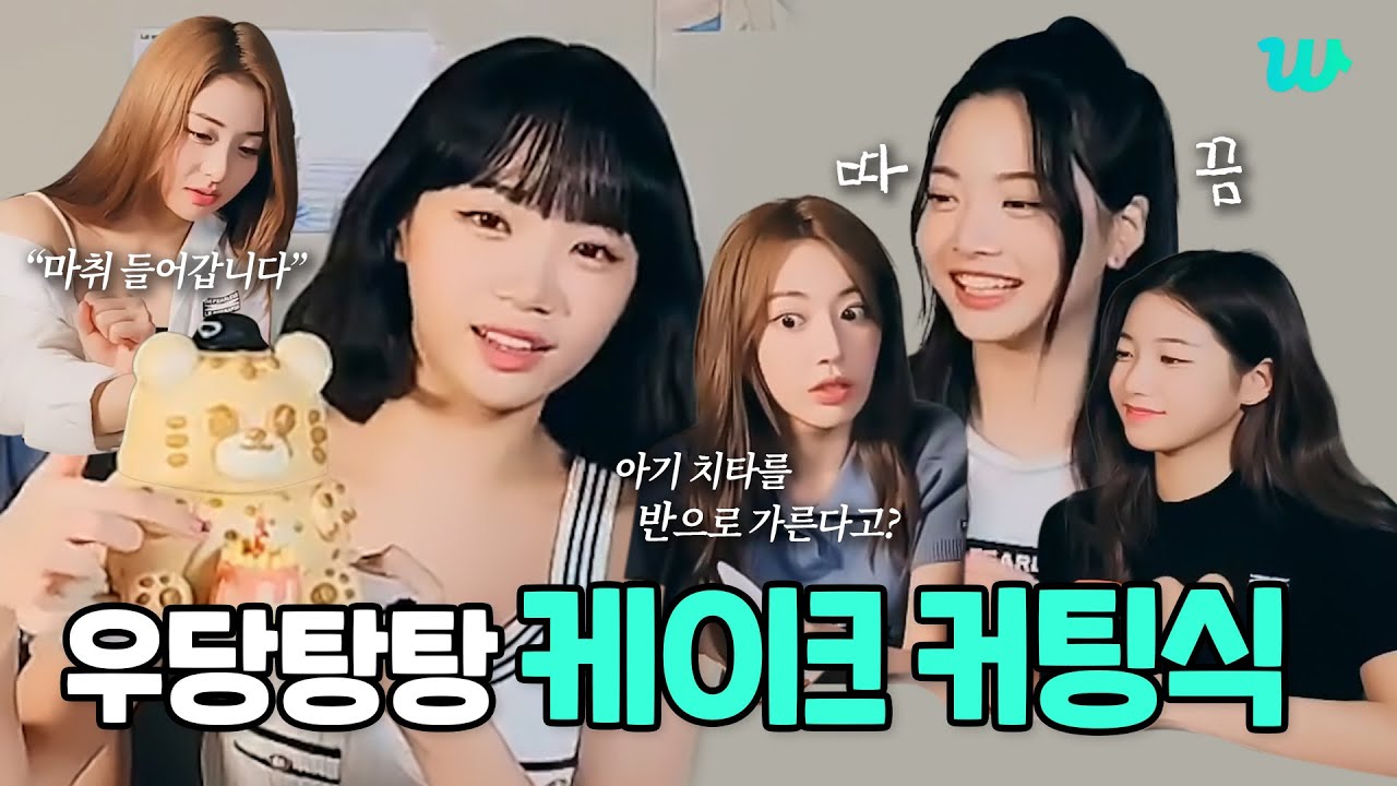 [WePick] 1절만 하는 방법을 모르는 르세라핌의 우당탕탕 케이크 커팅식 | 2022년 르세라핌 채원 생일 라이브 다시 보기