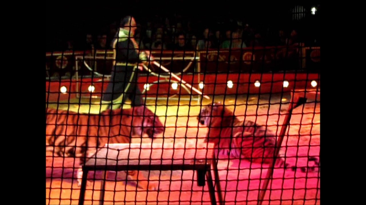 Circo Medrano 2013