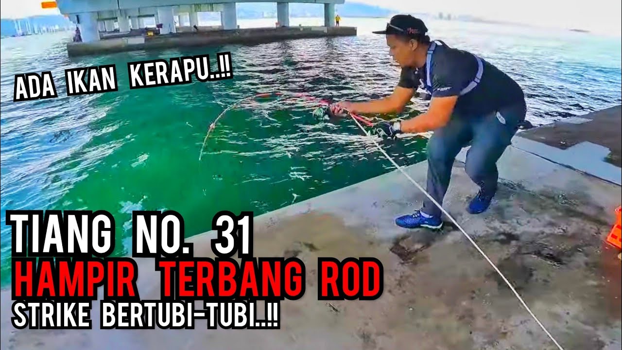 MEMANCING DI BAWAH JAMBATAN 1 PULAU PINANG | STRIKE PULUHAN IKAN