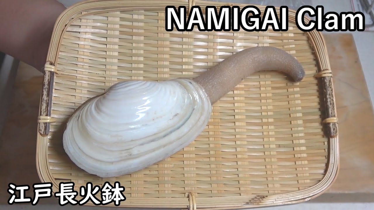 白ミル-Namigai clam-【Japanese food 江戸長火鉢】