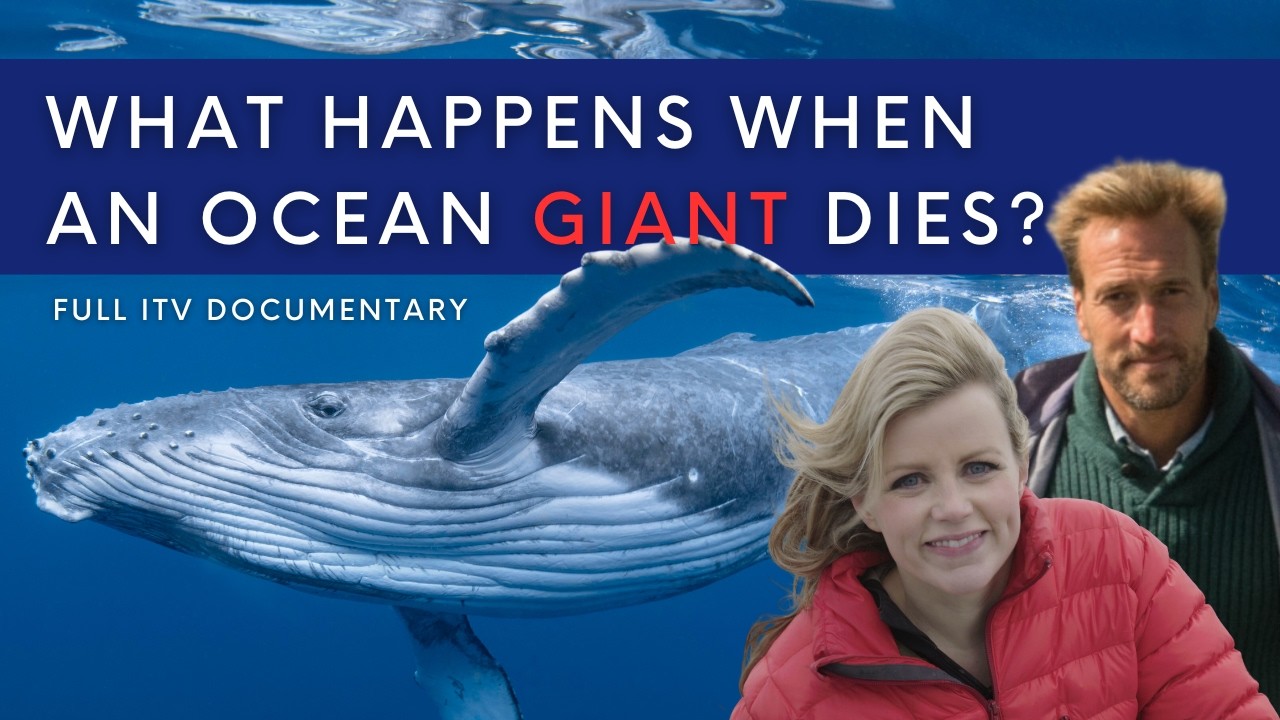 Britain's Whales & Sharks - Episode 1 (as seen on ITV)