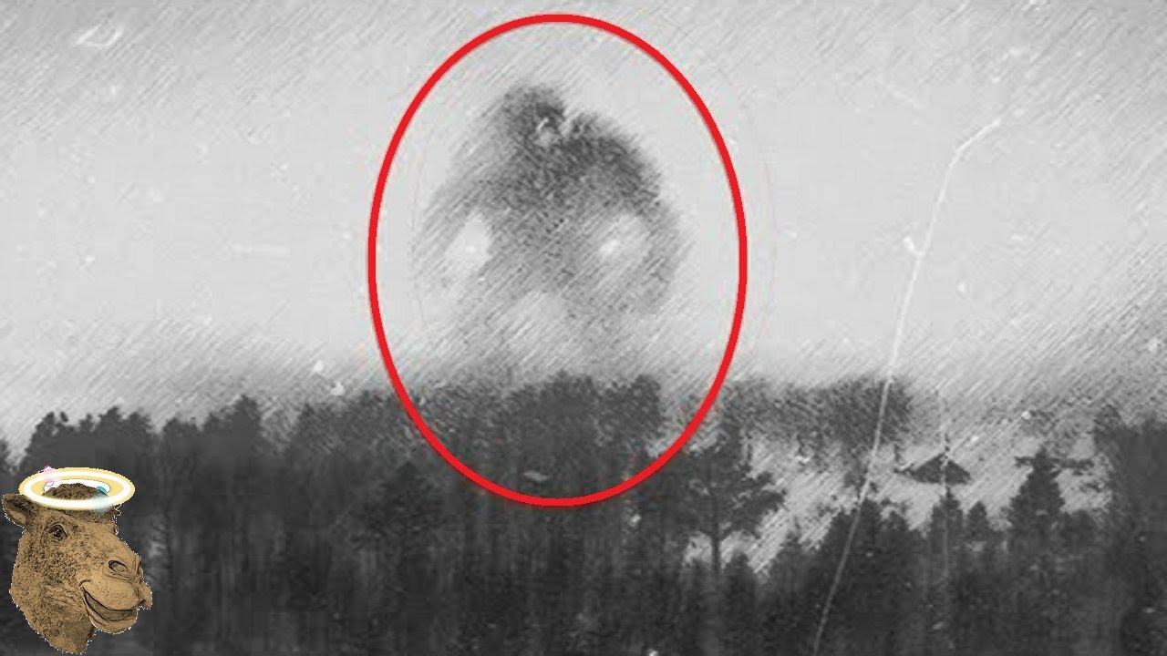 5 Fotografías Misteriosas Que No Tienen Explicación