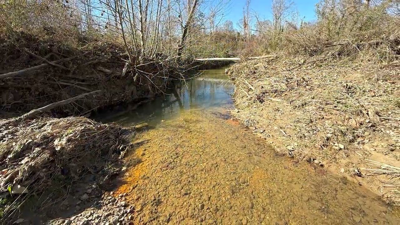 486± Acres in Yazoo County, Mississippi For Sale
