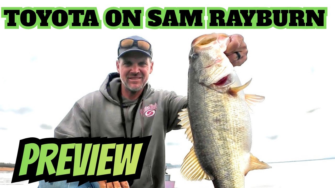 Rayburn Toyota (10ft Low, No Grass, Ice Cold to Crazy Warm)