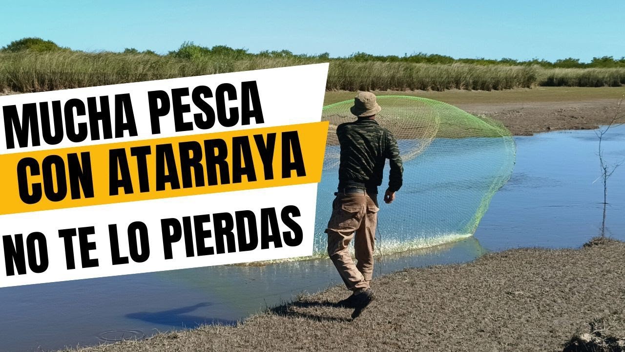 Pesca con atarraya y MUCHA PESCA VARIADA