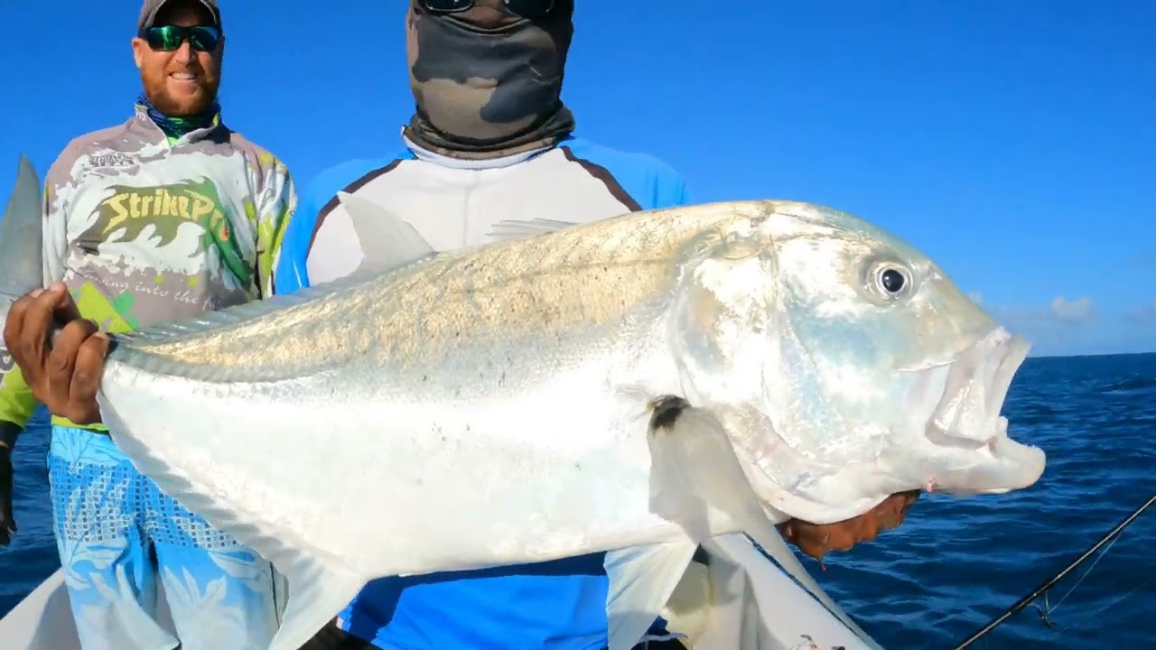 Gt Popping in Rodrigues with global Jean Marc Bestel all gt's catch and release 👆