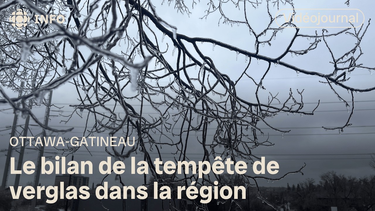 La tempête de verglas est finie : on fait le bilan! | Vidéojournal d'ICI Ottawa-Gatineau