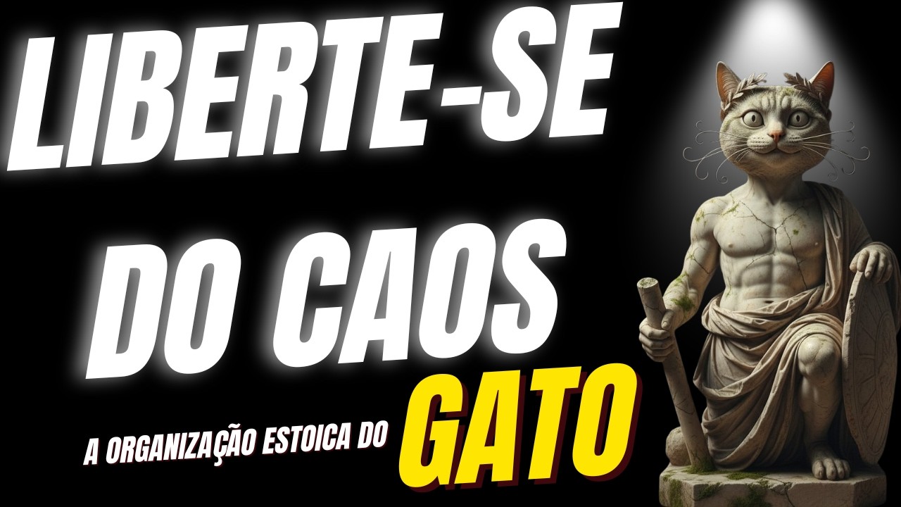 Aprenda a ser Organizado, como um Gato Estoico, e Se Liberte do Caos.