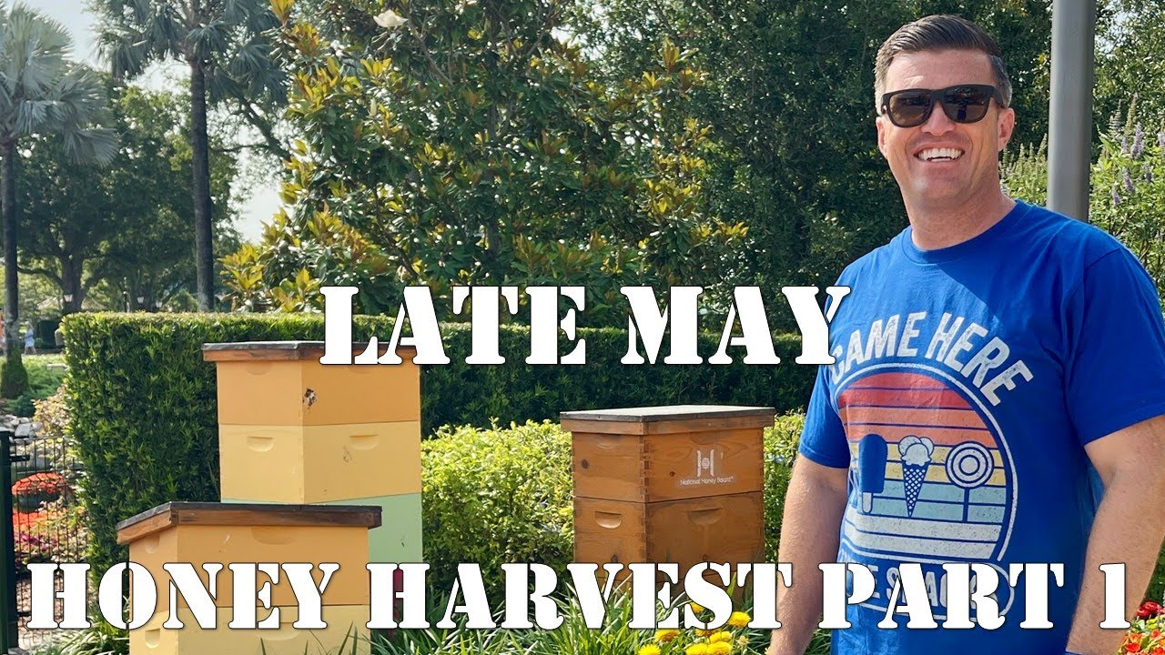 Late May & Honey Harvest Part 1 | #colesfarmnc #jacksonvillenc #beekeeping
