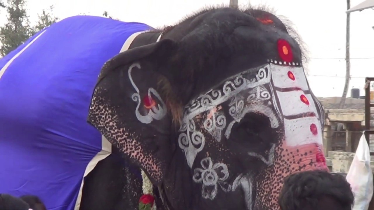 Hampi Festival