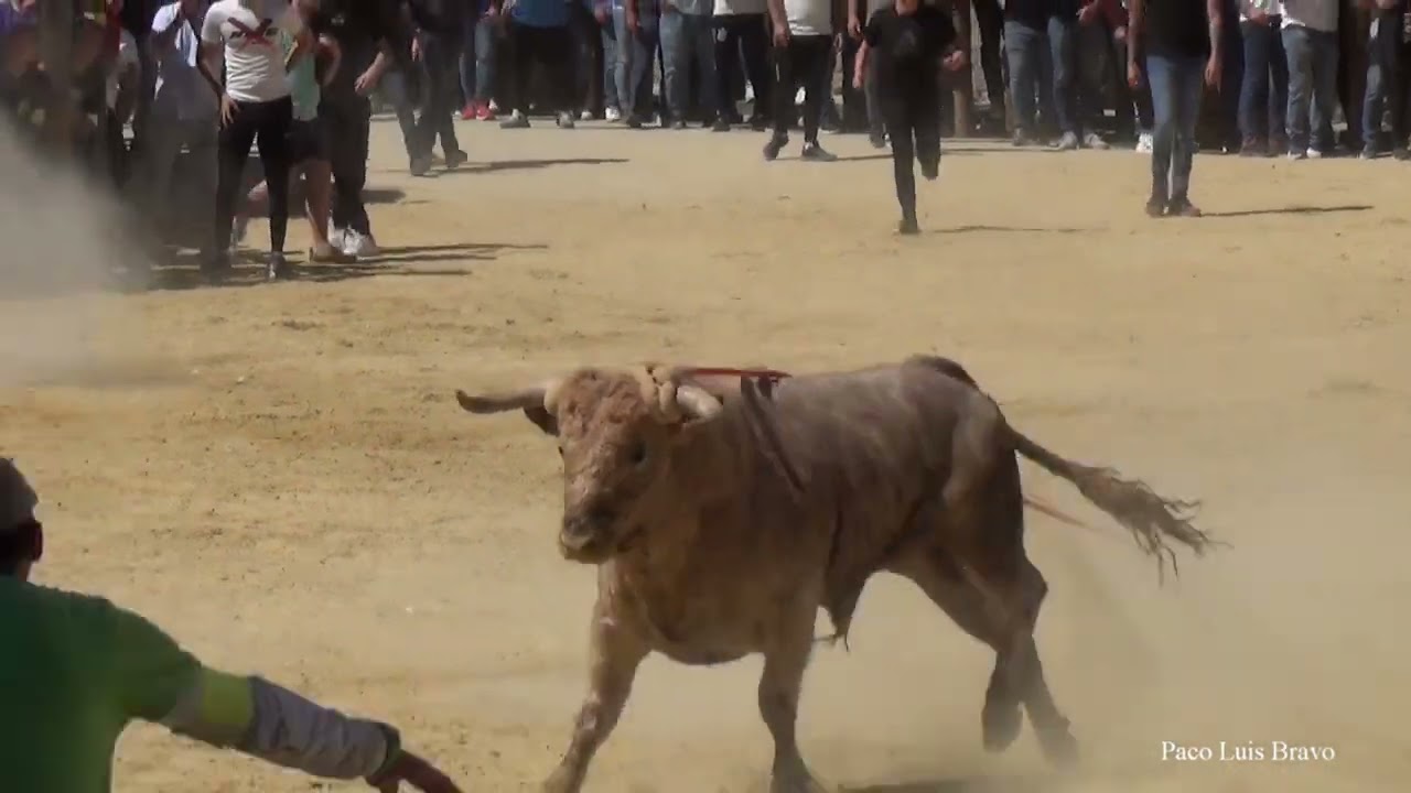 San Marcos 2024   Beas de Segura