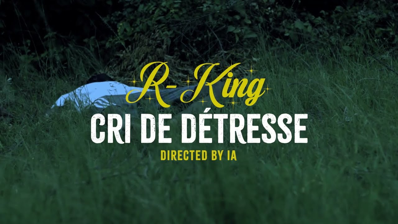 R-KING__CRI DE DÉTRESSE__(OFFICIAL VISUALIZER)