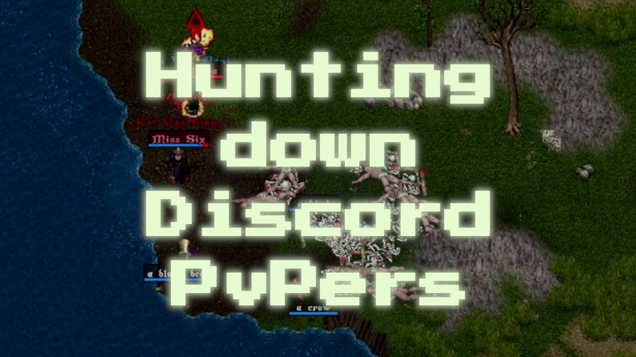 UO Outlands: Discord Warriors Face Reality