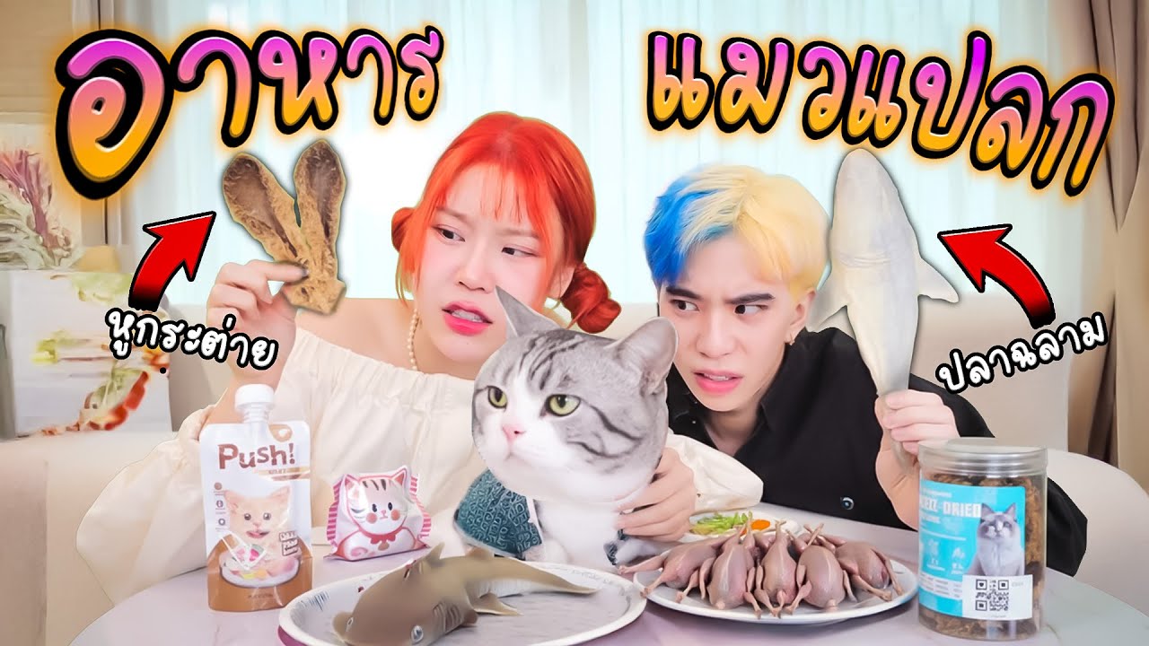 รีวิว อาหารแมวแปลกๆ ทั้งหมดในโลก
