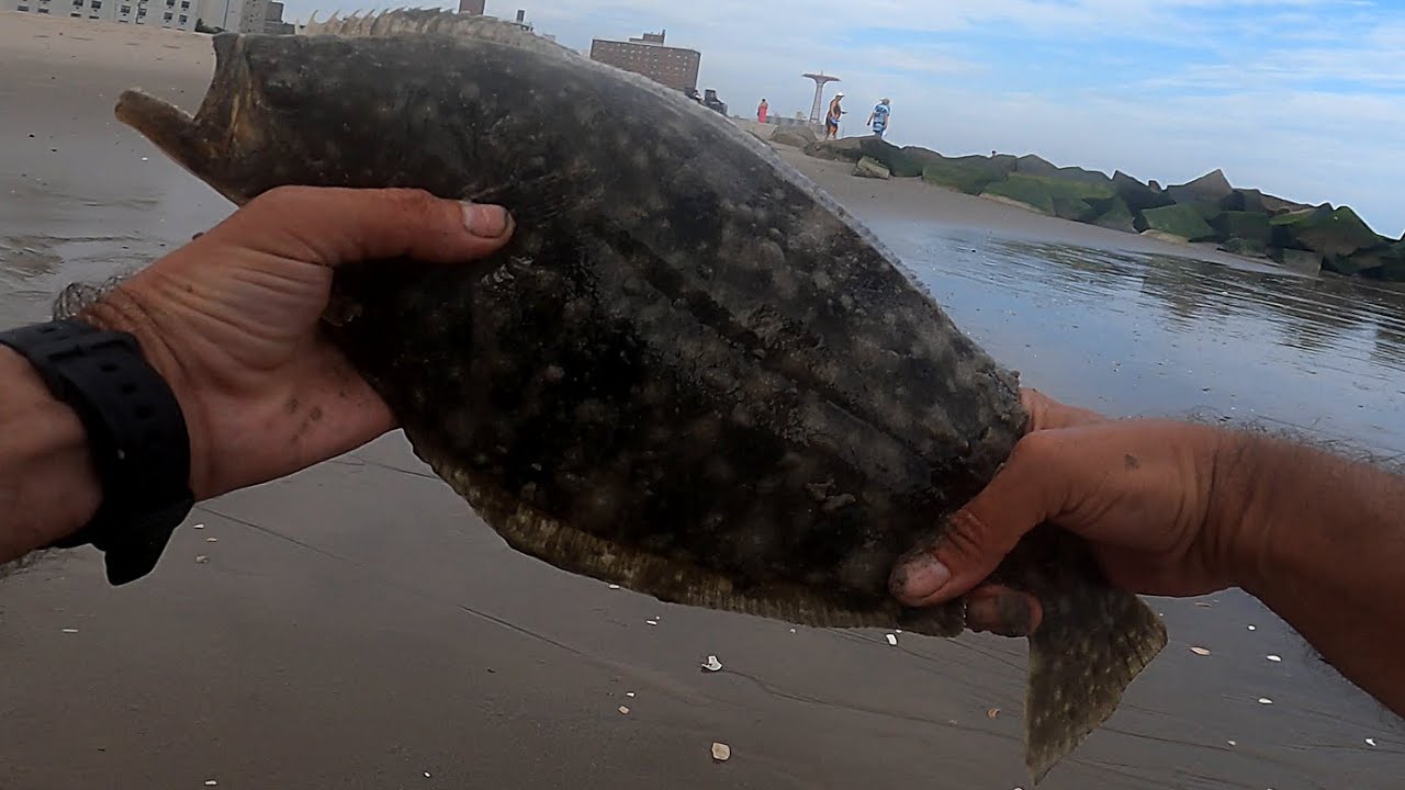 Big Keeper Fluke - CONEY ISLAND BEACH FISHING - Crazy Fun Summer Flounder