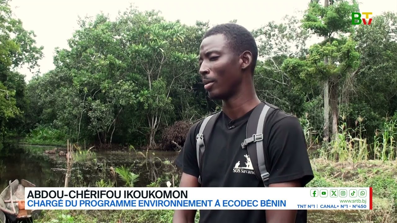 Forêt marécageuse de Hlazoun : un joyau écologique du sud-Bénin