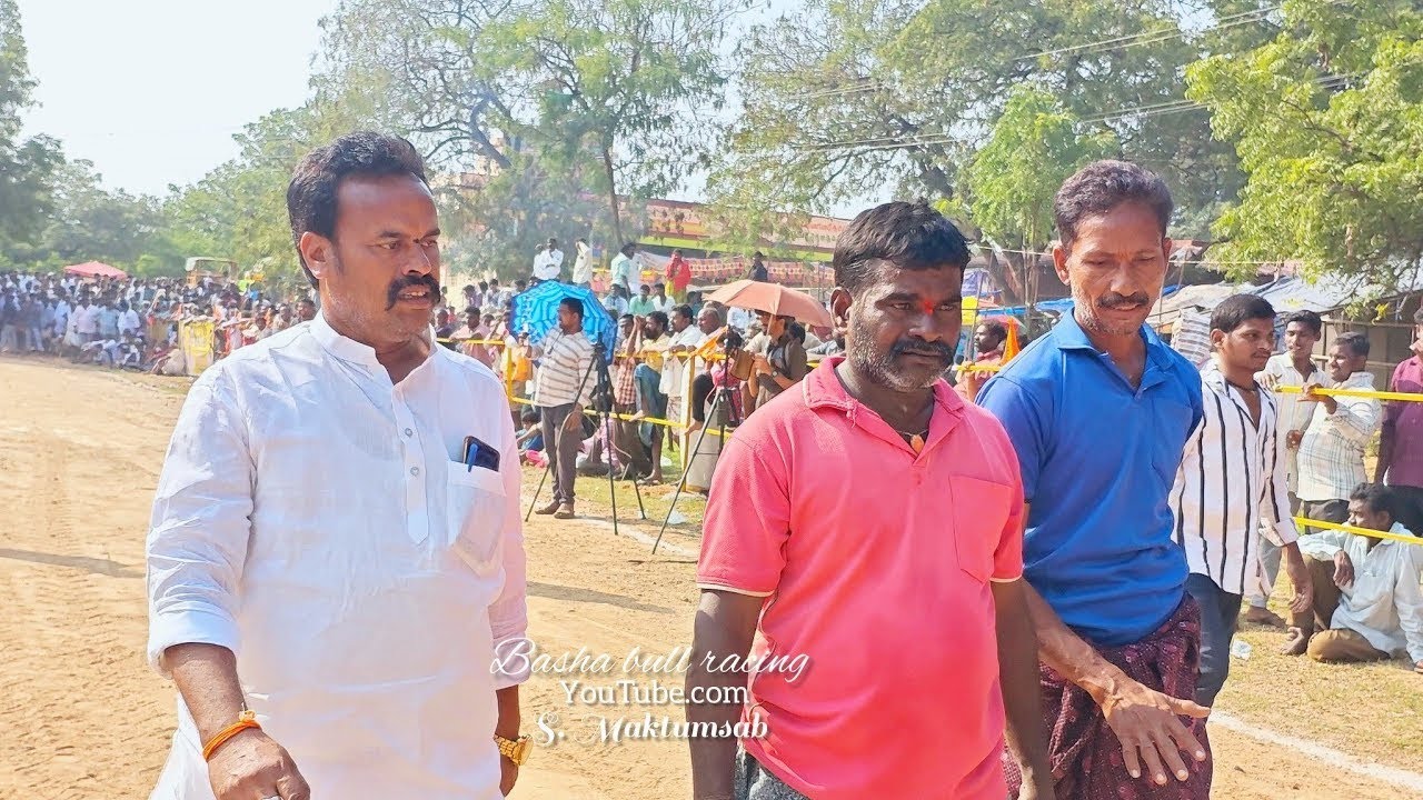 కామనూరు న్యూ క్యాటగిరి విభాగానికి 3వ జత KCOR బుల్స్