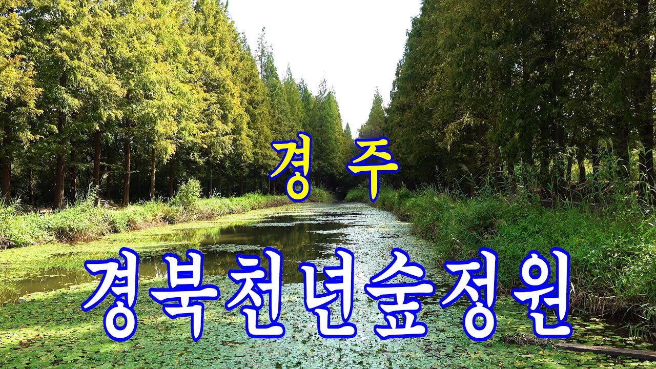 경주 경북천년숲정원