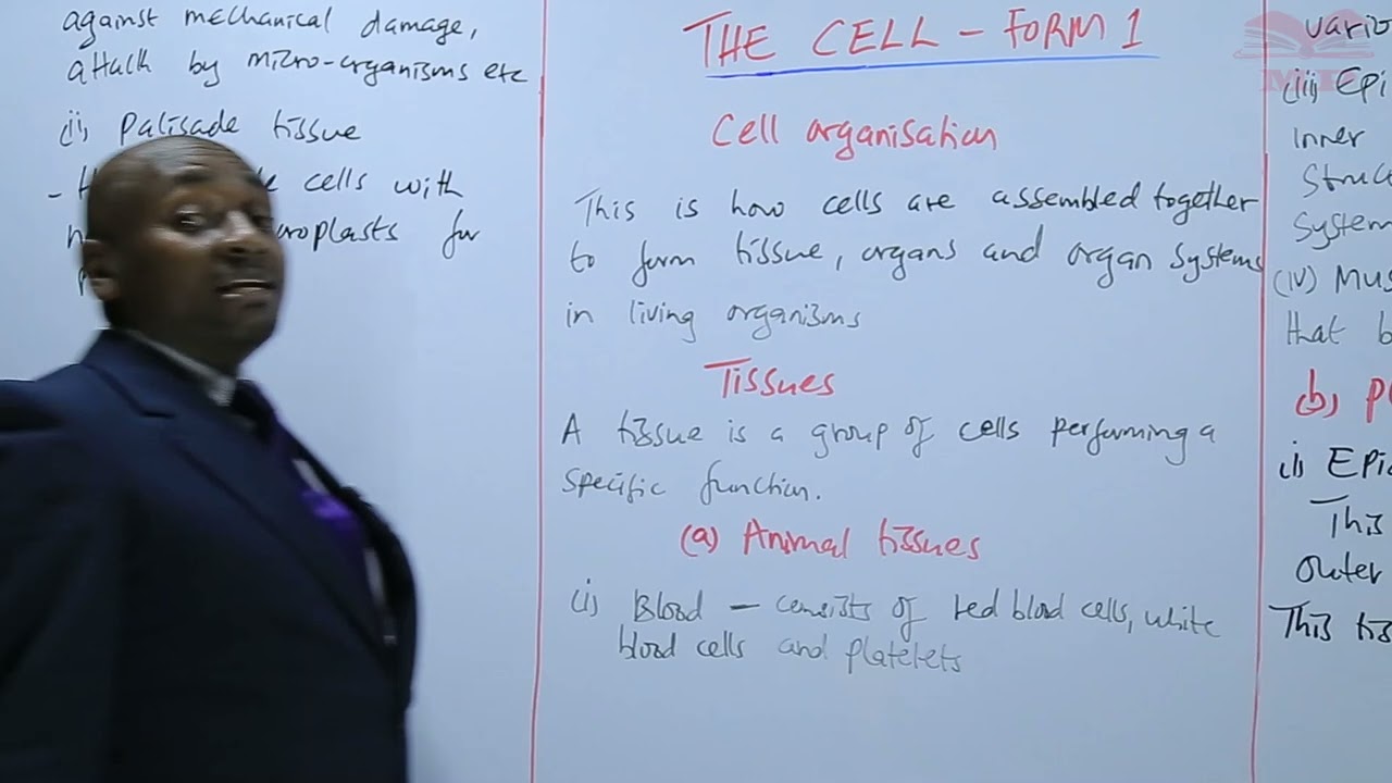 Cell Organisation_L14