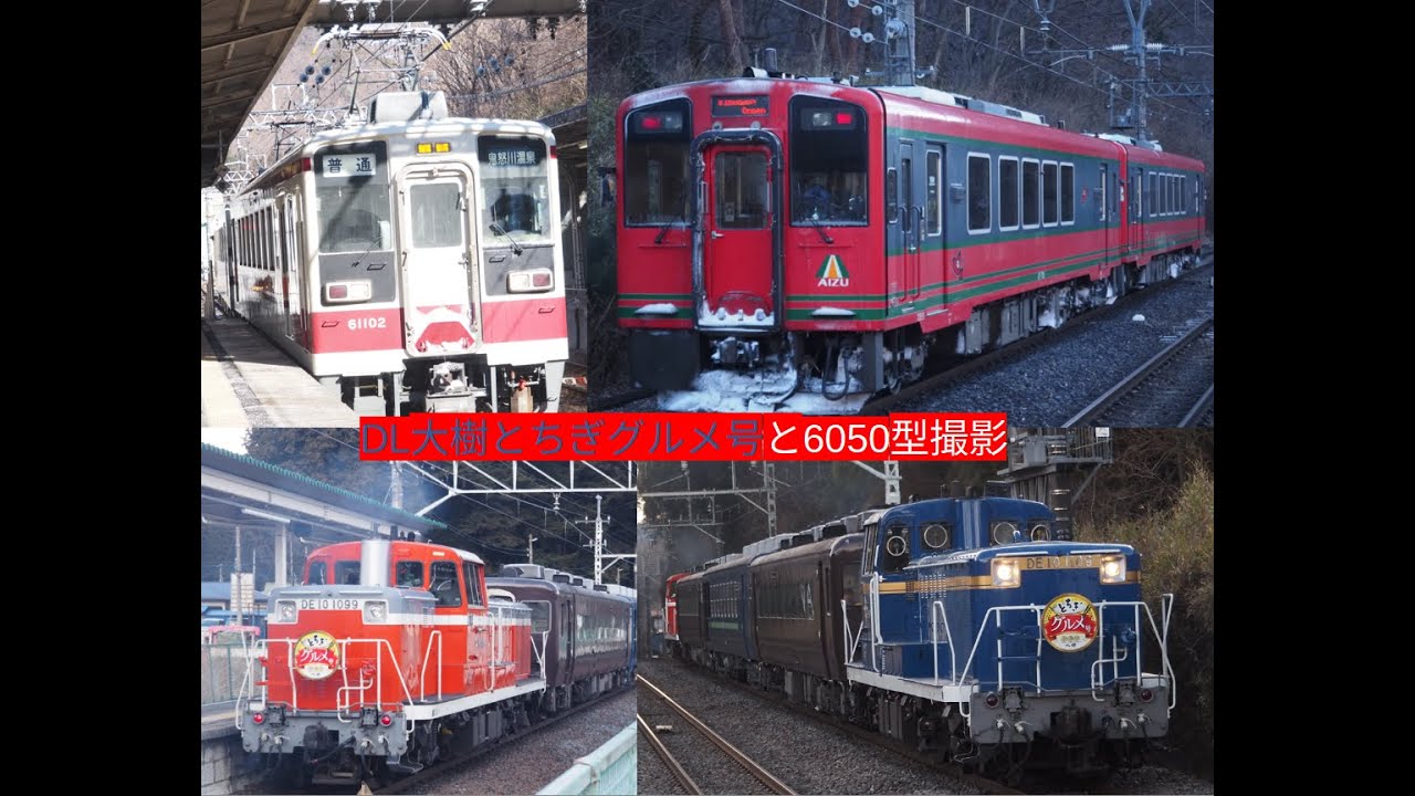 DL大樹とちぎグルメ号と6050型撮影