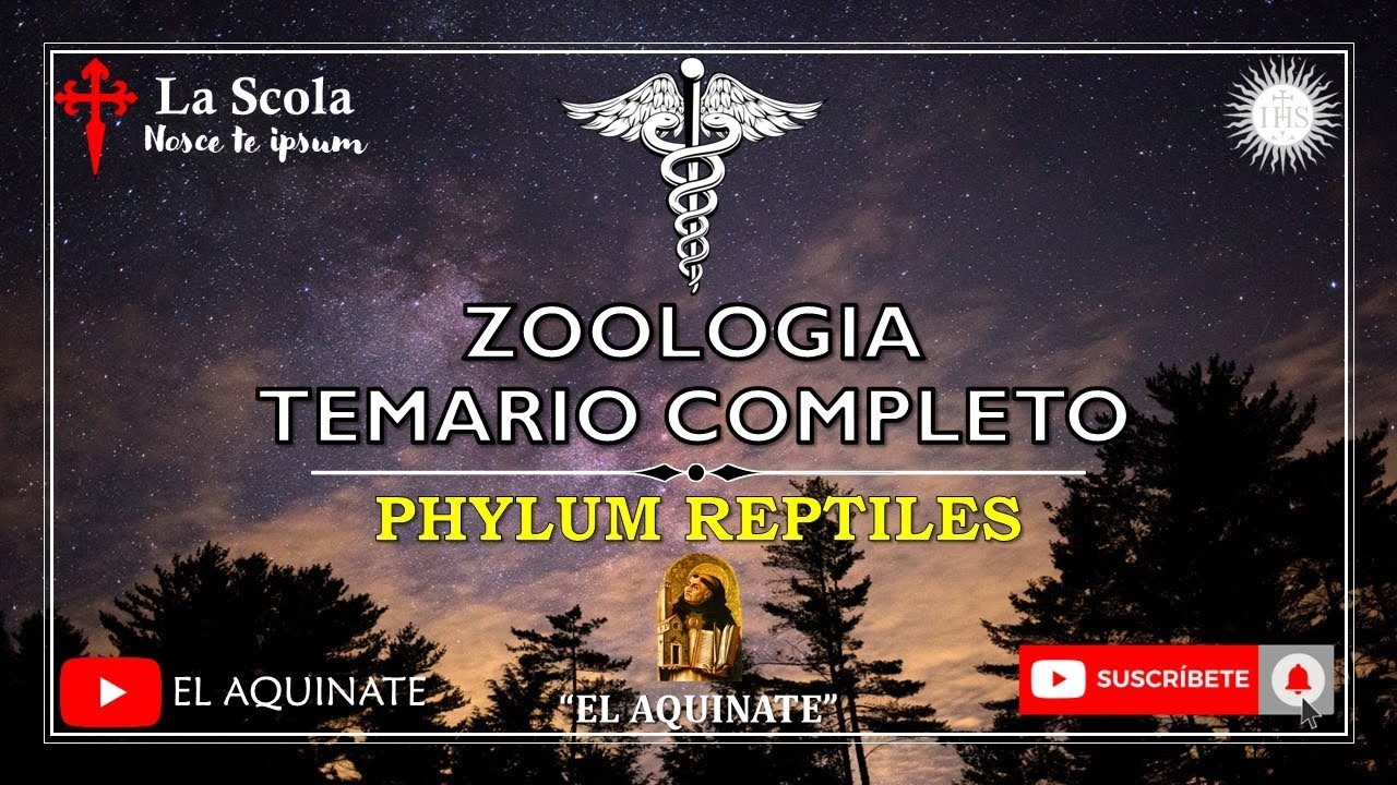 ZOOLOGIA, Temario completo: Phylum REPTILES