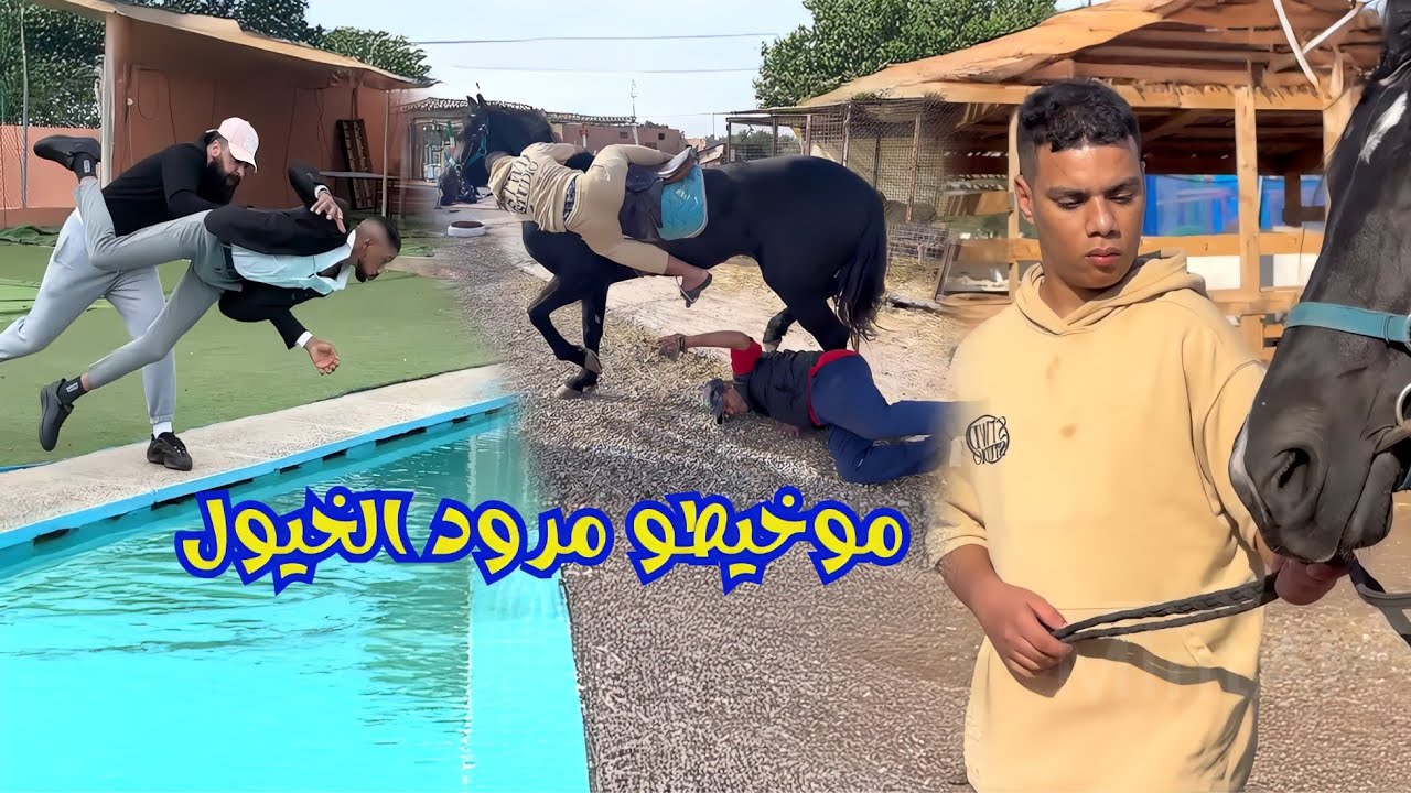 موخيطو في درب ملقب بالفارس😂مرود خيول🐎