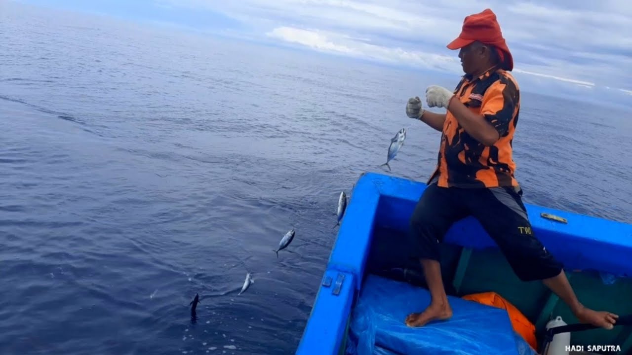 Amazing!!!saat mancing ikan tongkol || fishing fish