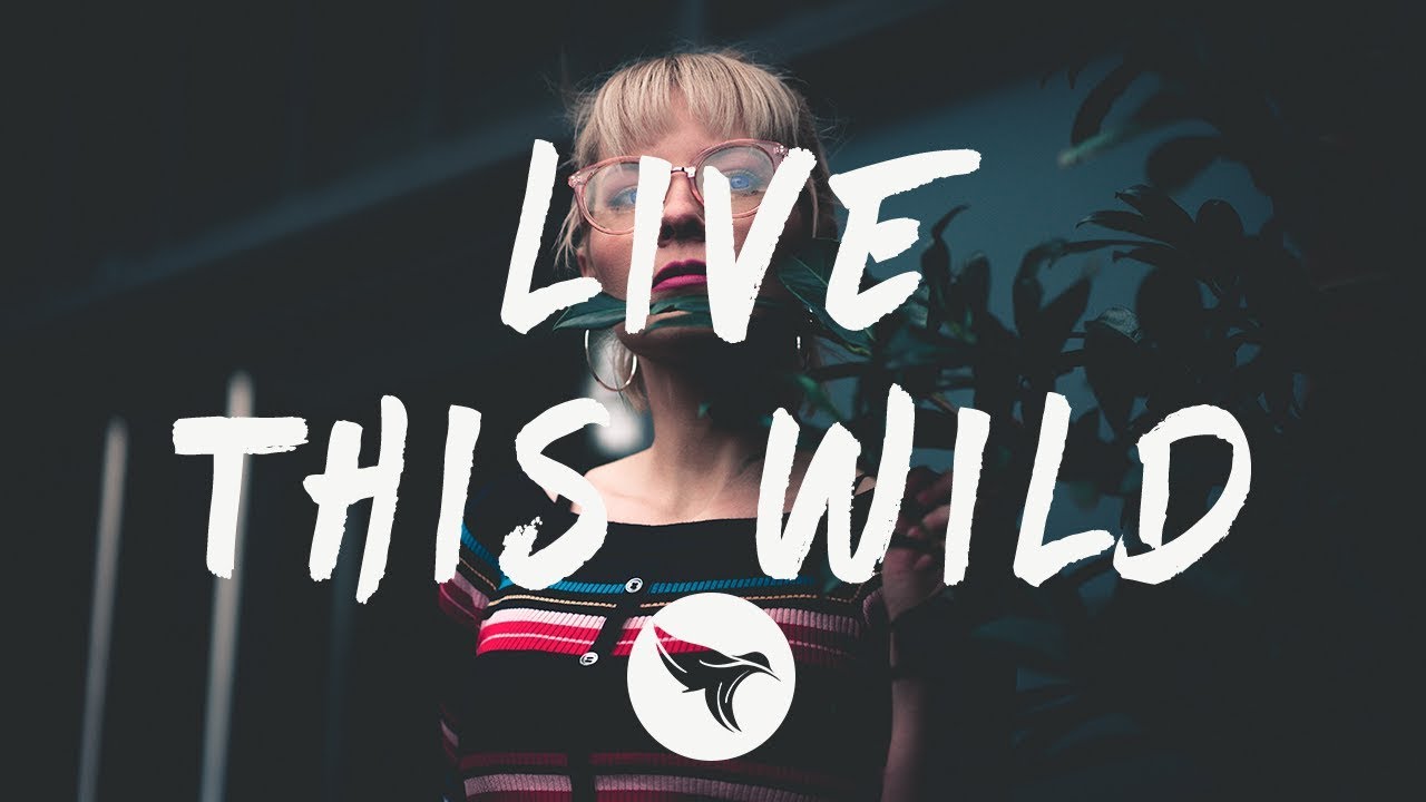 Lil Mosey - Live This Wild (Lyrics)