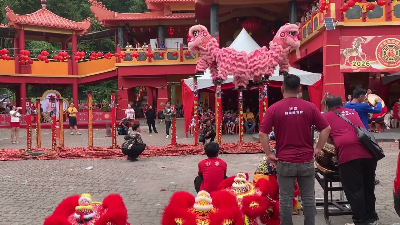 18/2/2026 lion dance donggongon#cny2026 #fyp 