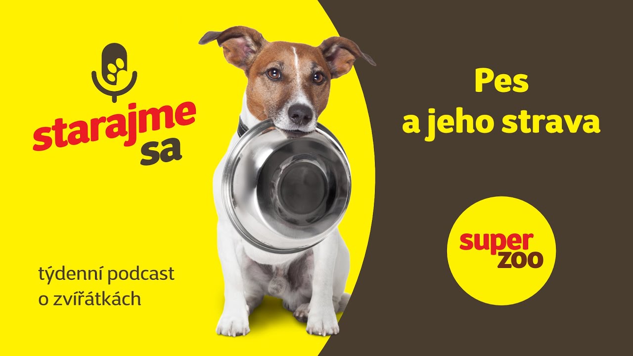 Pes a jeho strava | Podcast Super zoo