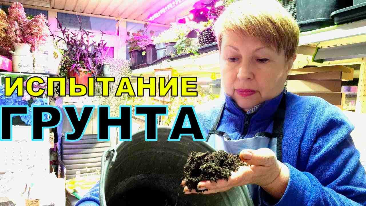 Взяла три грунта для рассады. Провожу испытание, чтоб не плакать весной. Грунт Х радует