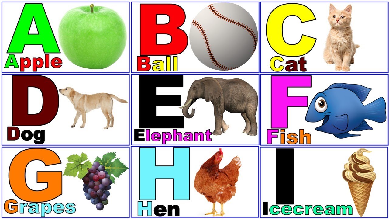 Abcdefg/a to z /a for apple /english alphabets 