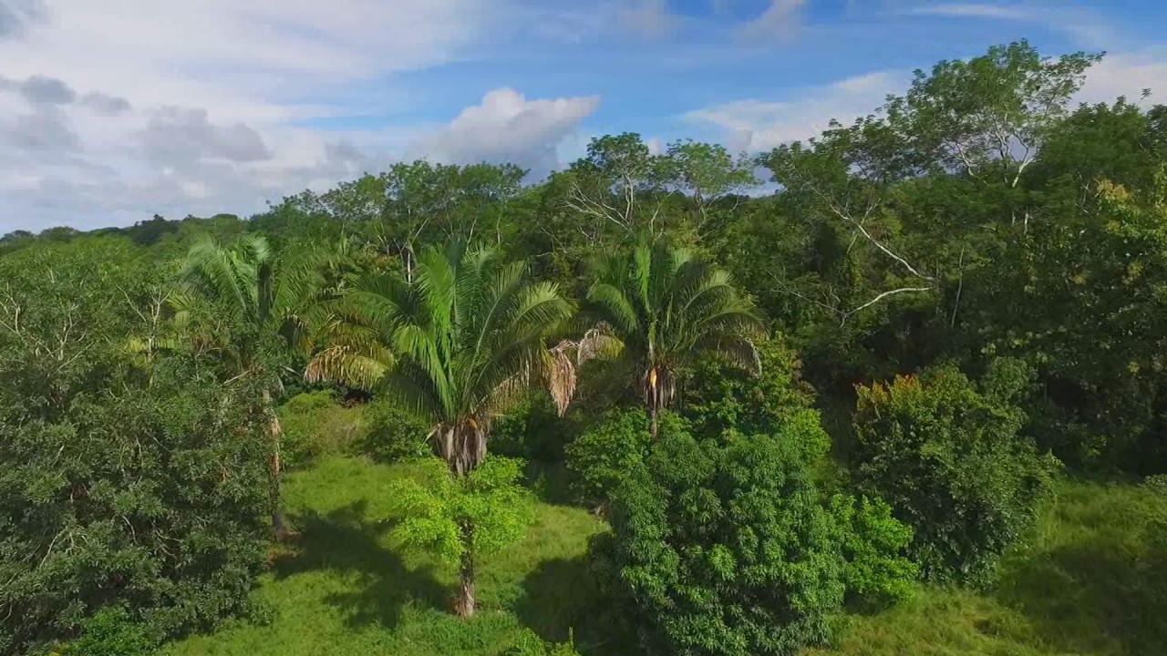 Properties in Costa Rica, Eden, Montezuma