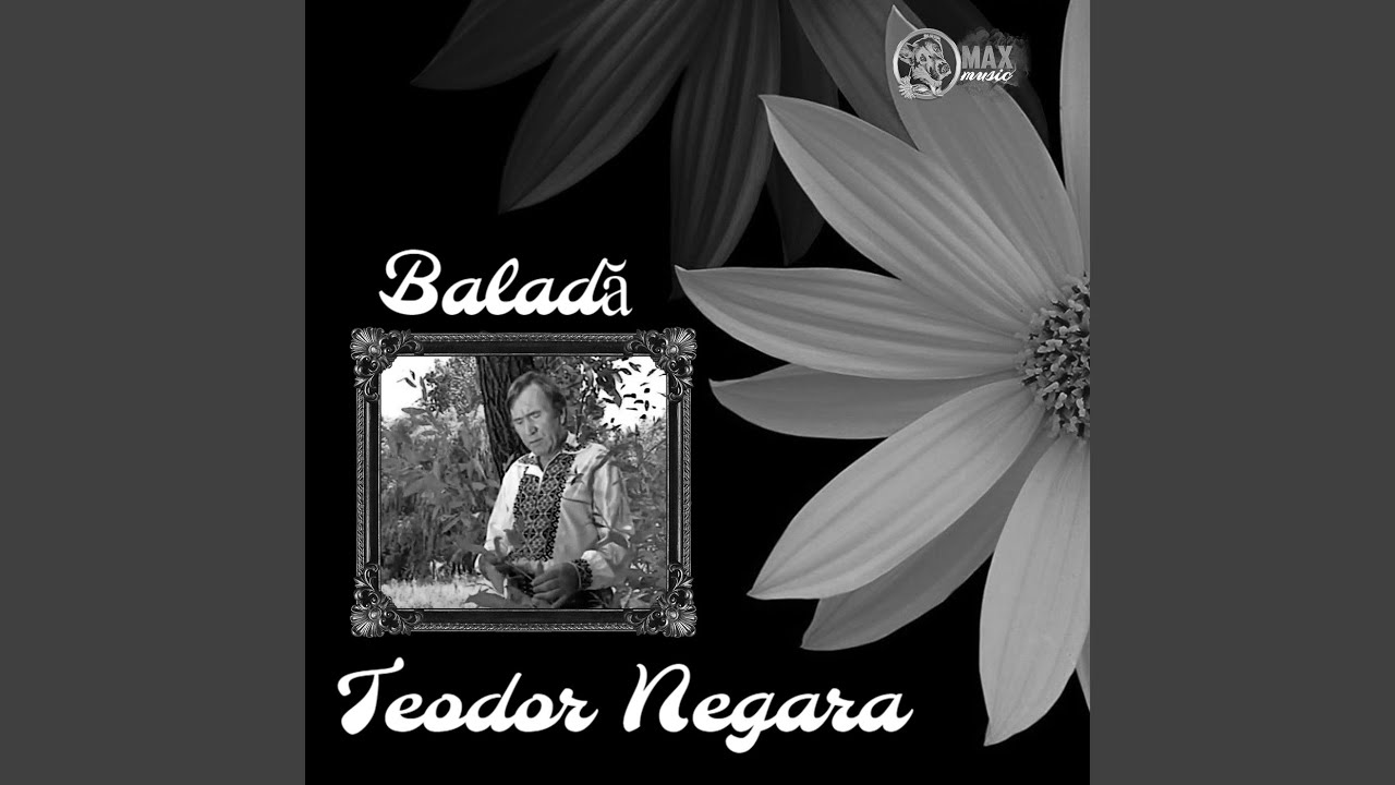 Taticul meu e la razboi