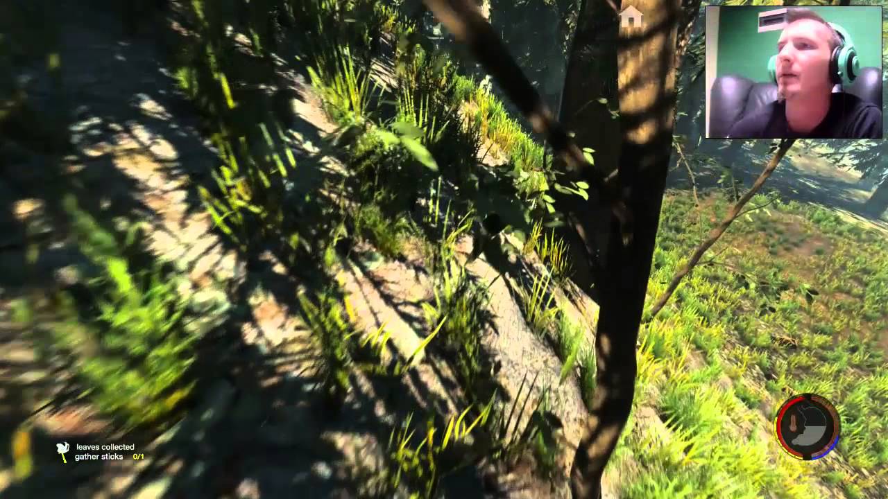 #18 The Forest: bug na bugu