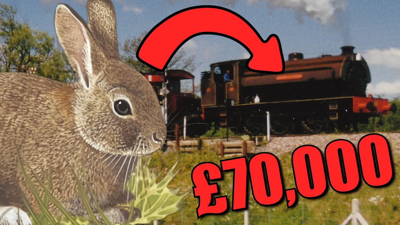 When Rabbits Caused a Railway's Closure