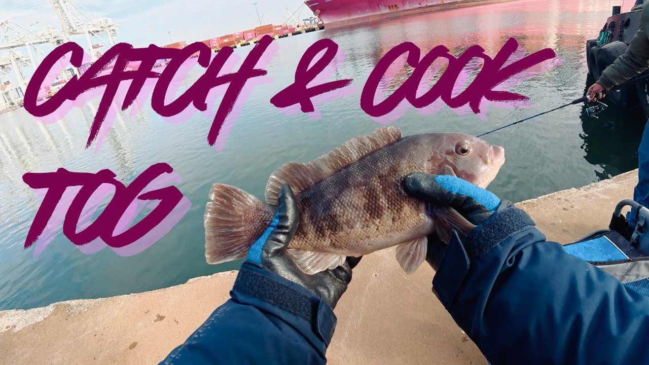 Tog Fishing, Catch & Cook @Reeltipseabayfishing