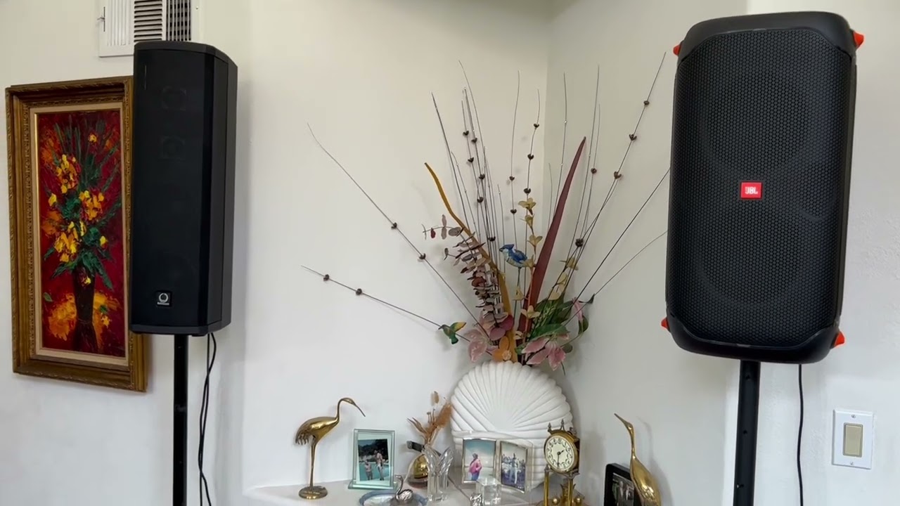 TurboSound iP300 vs JBL Partybox110  How does a Party Speaker compare to a PA Speaker Similar Price?