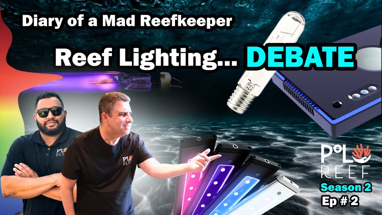 LED, Metal Halides OR…? Reef lighting Episode # 2