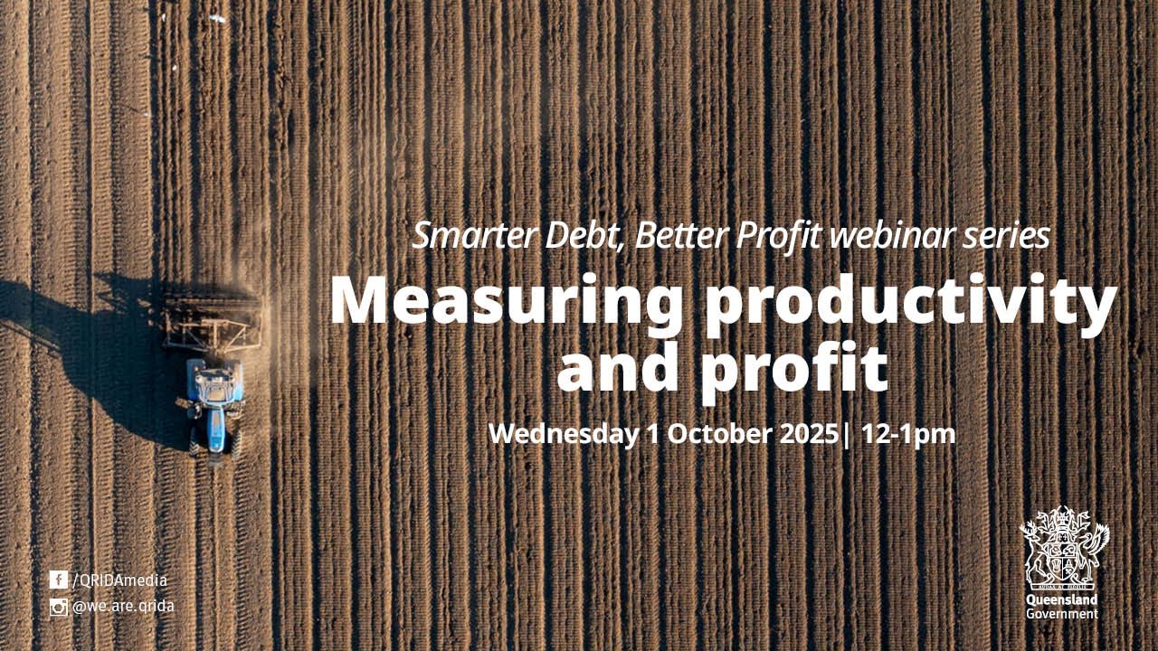 1 October 2025: Measuring productivity and profit