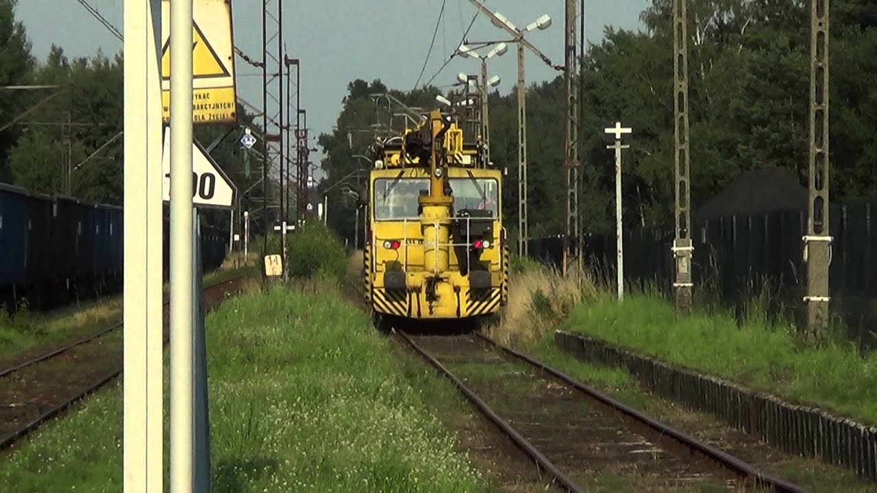 SIECIOWCY