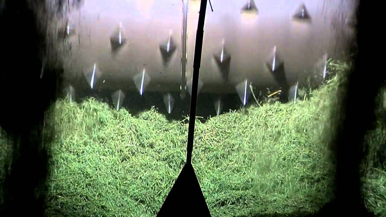 Alfalfa Deshidratada  (español)