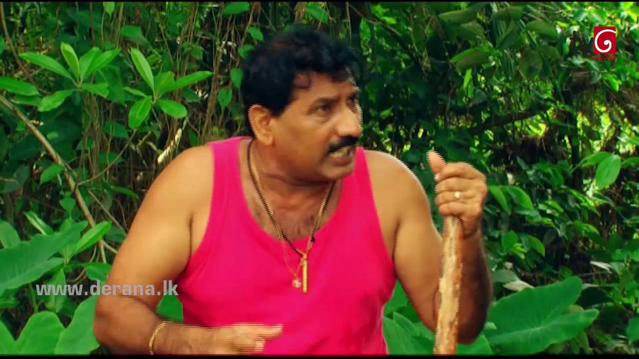 Naataka Marai Hathedi Marai - Episode 292 | Kolu Baage ( 28-07-2016 )