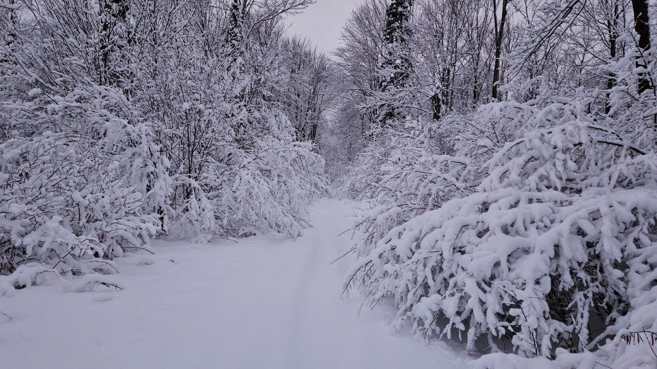 LATEST Wisconsin Snowstorm | Checking Trails
