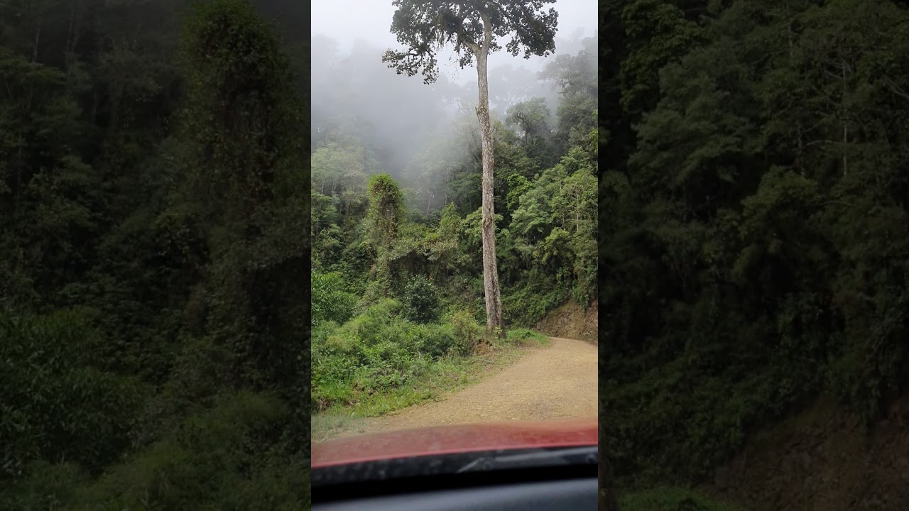 Toyota Rav4 offroad Tami Lodge-Quetzal National park, offroad 4x4 Costa Rica