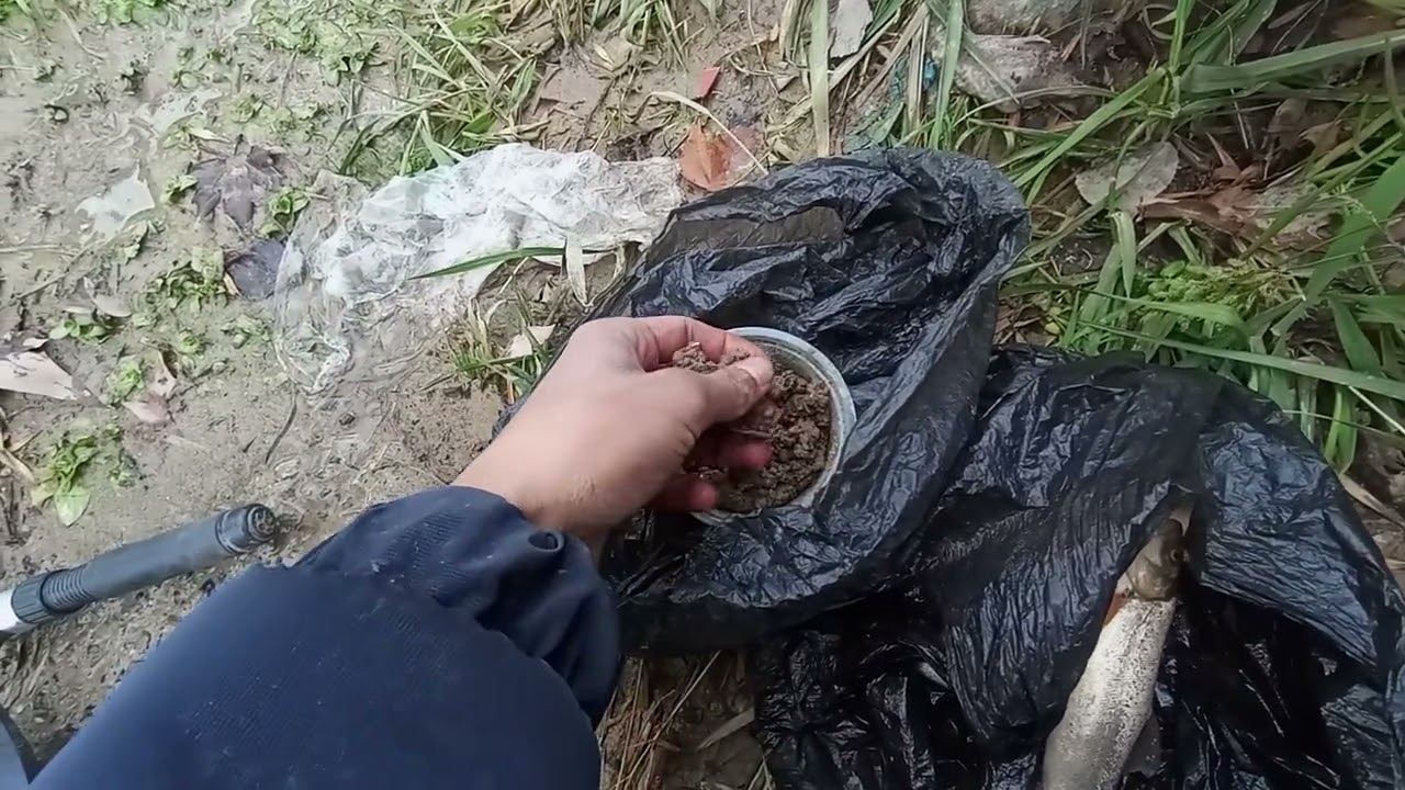 Маринка ови Самарканд Ургут сойида 6 та натижа 