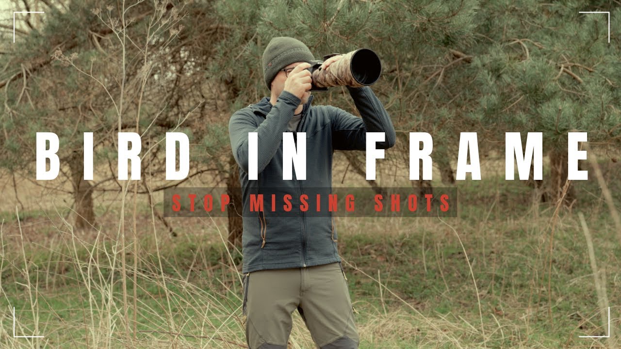 Bird Photography - Stop Missing Shots