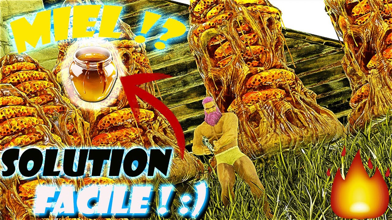 MIEL SOLUTION FACILE ! - TUTO Fr  capturer l’abeille géante !