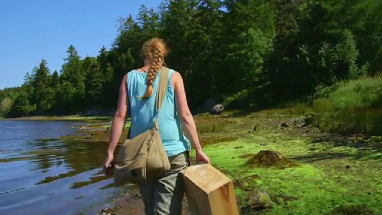 Food Foraging in Newfoundland and Labrador