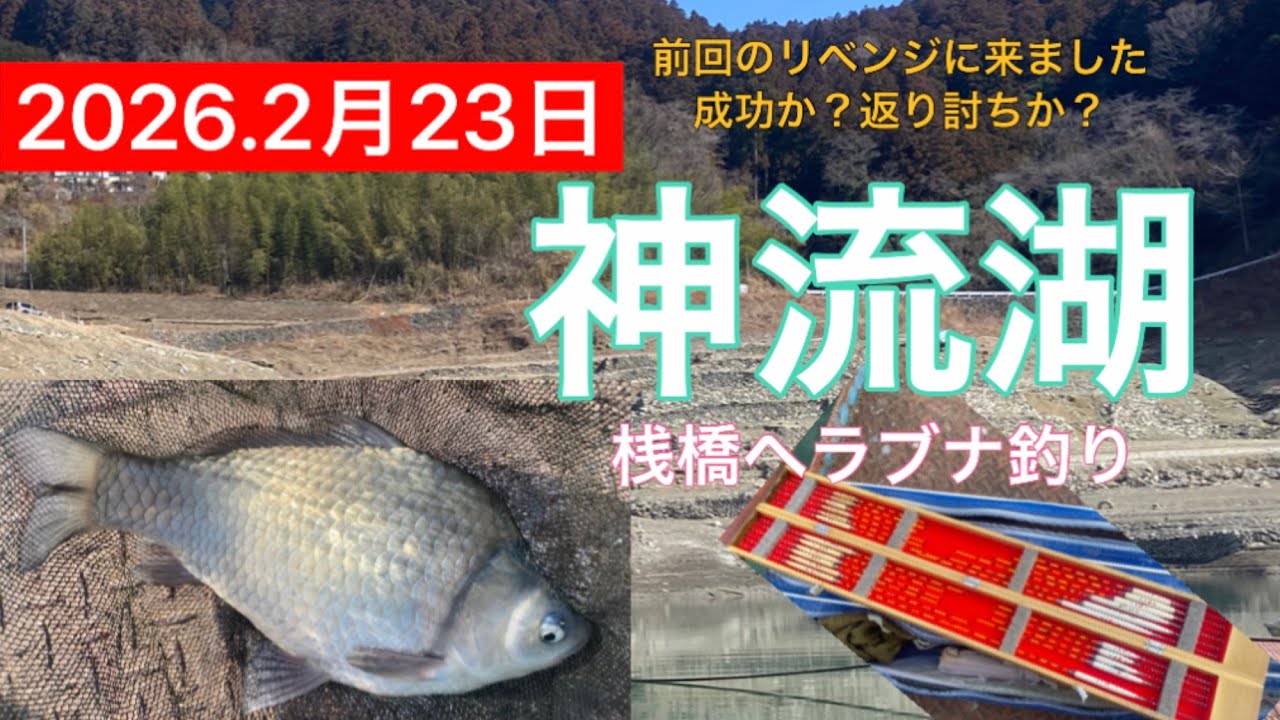 2026.2月23日.神流湖桟橋ヘラブナ釣り！リベンジの巻　　#釣り #ヘラブナ釣り #ヘラブナ #サンライン #神流湖 